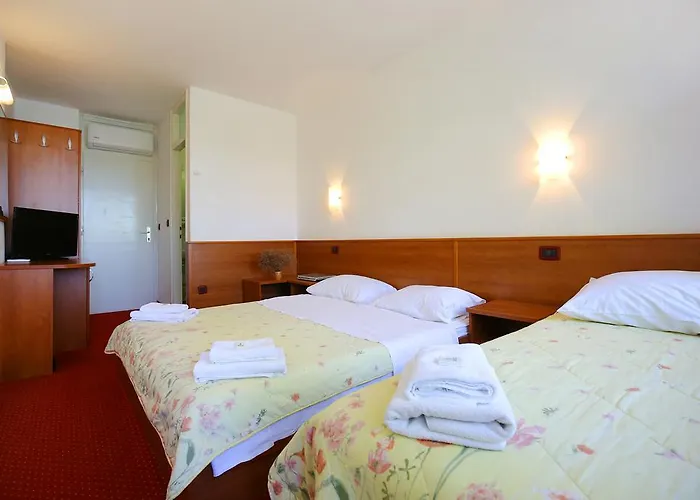 Отель Hotel Luka